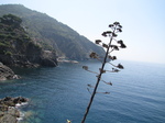 SX19541 Looking back to Riomaggiore, Cinque Terre, Italy.jpg